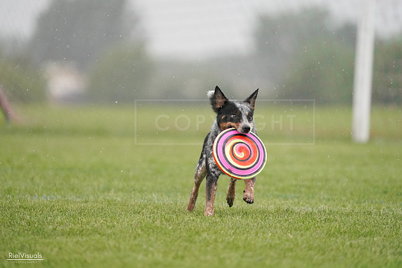 RielVisuals_20240527_105203_SJR02032