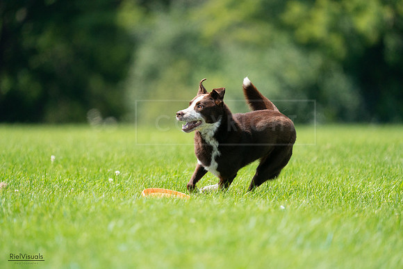 RielVisuals_20240728_120804_SJR03042