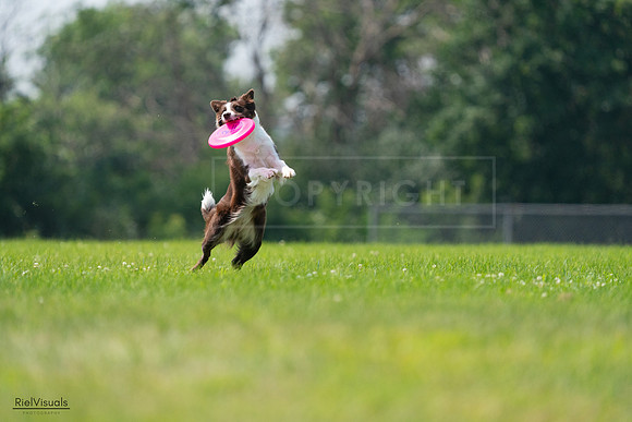 RielVisuals_20240727_115619_SJR04327