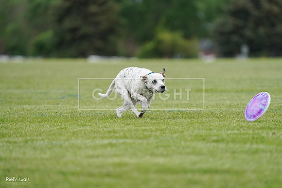 RielVisuals_20240525_160358_SJR03382