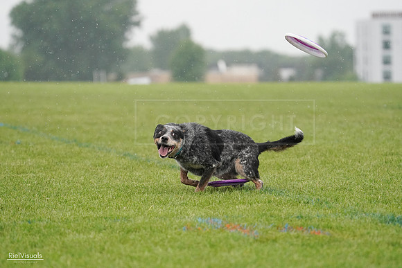 RielVisuals_20240527_105254_SJR02157
