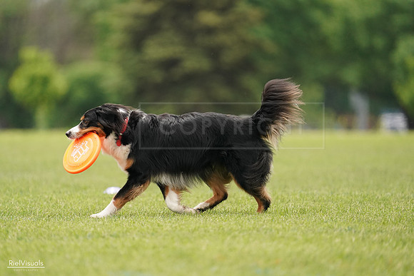 RielVisuals_20240527_132809_SJR09898