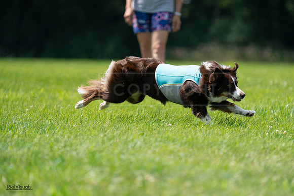 RielVisuals_20240728_132609_SJR06206