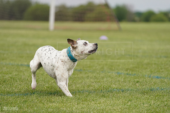 RielVisuals_20240526_134212_SJR08731