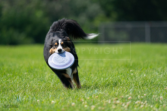 RielVisuals_20240728_114720_SJR01958