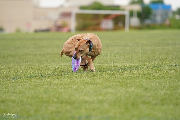 RielVisuals_20240526_131539_SJR07290