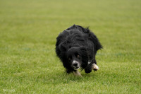 RielVisuals_20240527_131943_SJR09426