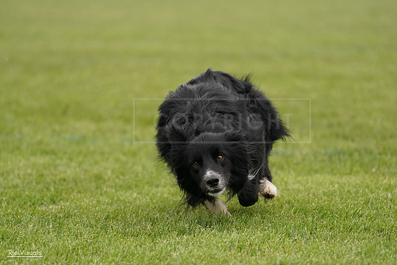 RielVisuals_20240527_131943_SJR09426