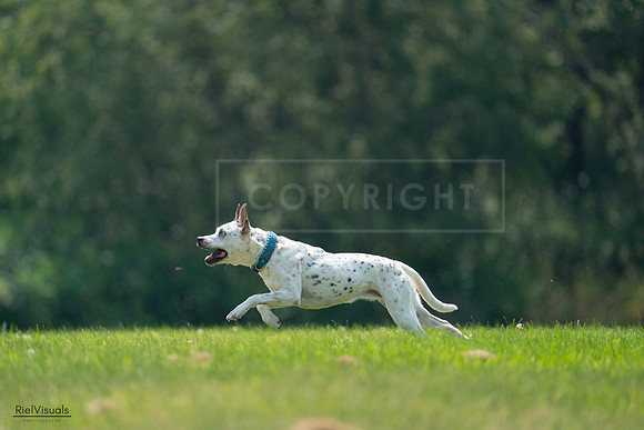 RielVisuals_20240727_120918_SJR04809