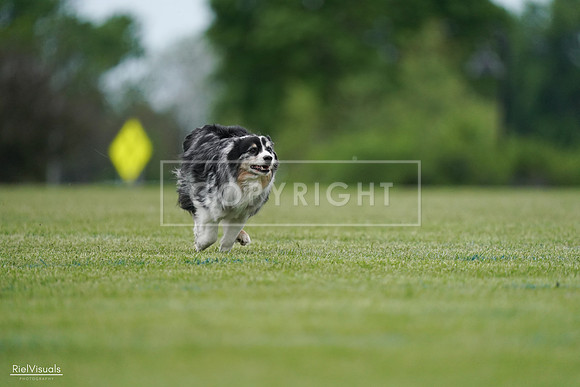 RielVisuals_20240525_163007_SJR04589