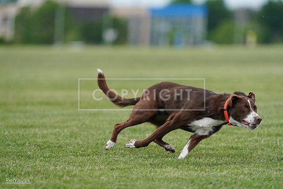 RielVisuals_20240525_162515_SJR04359