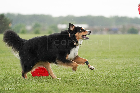 RielVisuals_20240526_094635_SJR01020