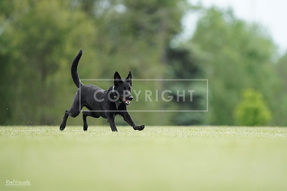 RielVisuals_20240525_160628_SJR03444