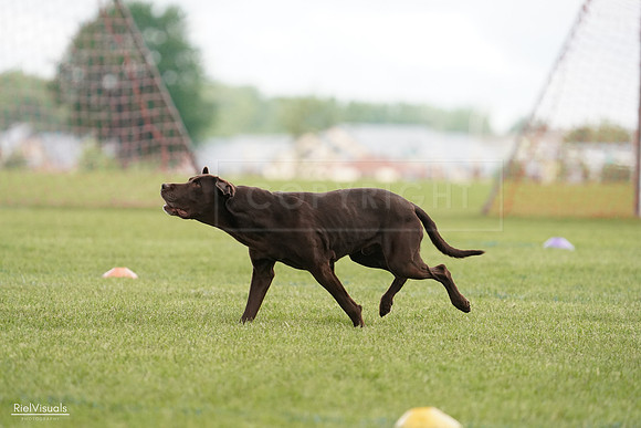 RielVisuals_20240527_140523_SJR01397