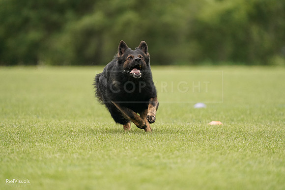 RielVisuals_20240527_132943_SJR00006