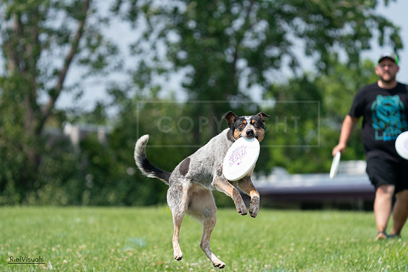 RielVisuals_20240727_133956_SJR07992