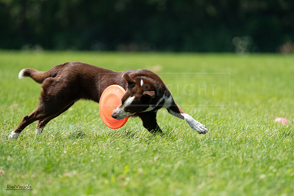RielVisuals_20240728_124505_SJR04621