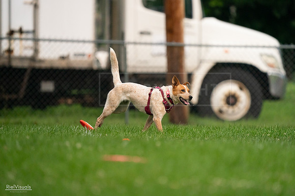 RielVisuals_20240722_190935_SJR00263