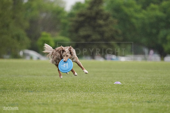 RielVisuals_20240526_092613_SJR00022