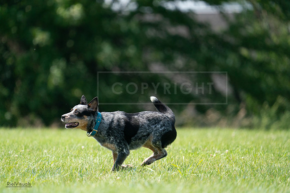 RielVisuals_20240728_145201_SJR09374