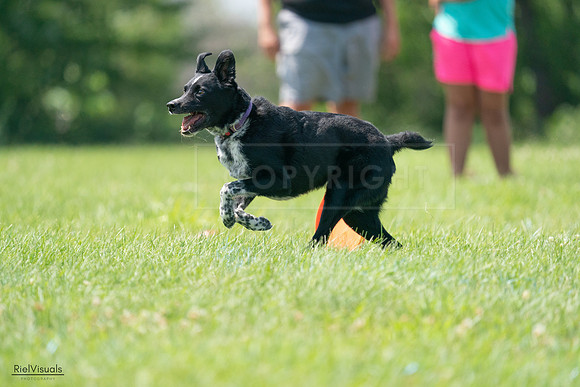RielVisuals_20240728_143748_SJR08726