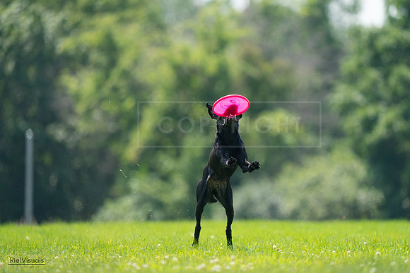 RielVisuals_20240727_131016_SJR07057