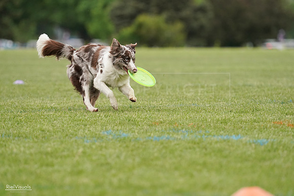 RielVisuals_20240526_110122_SJR00166
