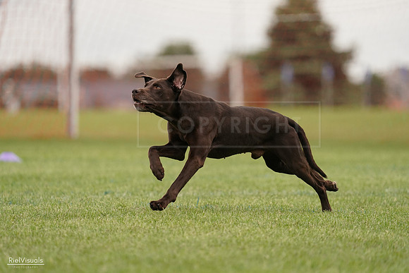 RielVisuals_20240527_132518_SJR09690