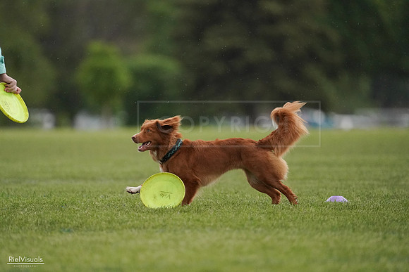 RielVisuals_20240526_093141_SJR00302