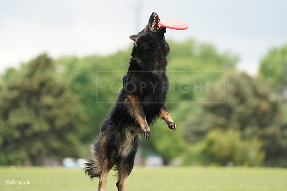 RielVisuals_20240527_132926_SJR09954
