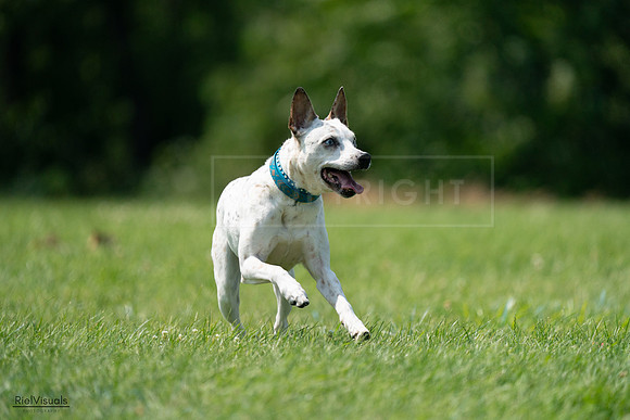 RielVisuals_20240728_144154_SJR08906