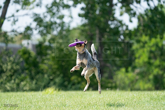 RielVisuals_20240728_143541_SJR08658