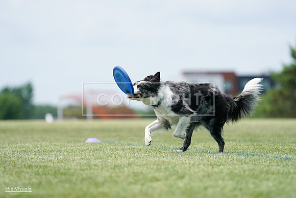 RielVisuals_20240525_124351_SJR01010