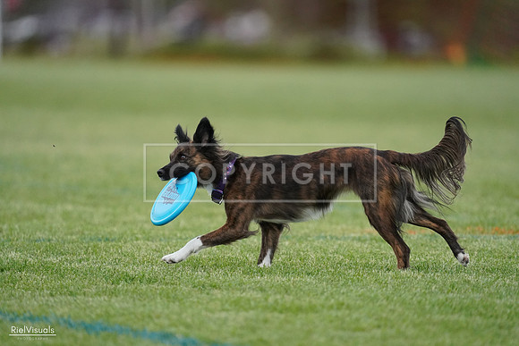 RielVisuals_20240525_175956_SJR08917