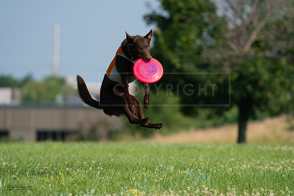 RielVisuals_20240727_092525_SJR06311