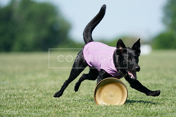 RielVisuals_20240525_105052_SJR05665