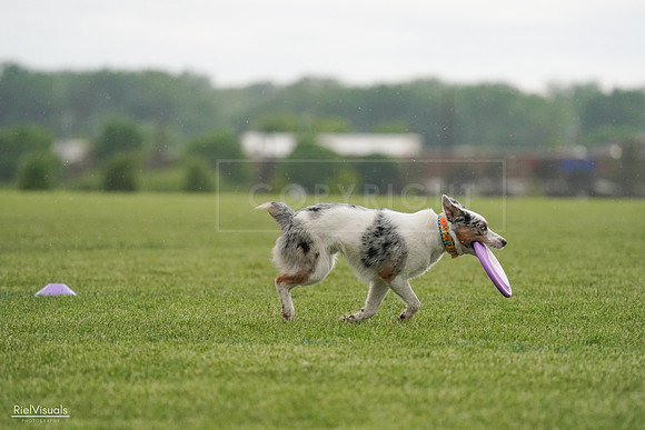 RielVisuals_20240526_092906_SJR00163