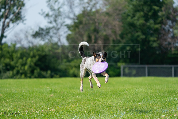 RielVisuals_20240728_103238_SJR08437