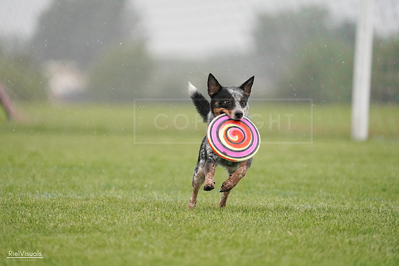 RielVisuals_20240527_105203_SJR02031