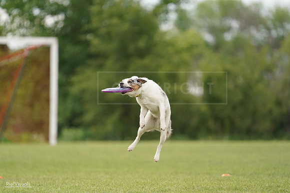 RielVisuals_20240527_140102_SJR01171