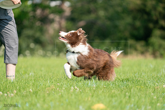 RielVisuals_20240727_093508_SJR06839