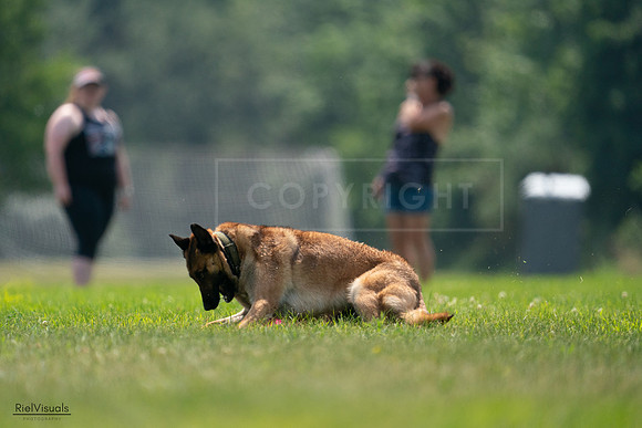 RielVisuals_20240727_131939_SJR07603