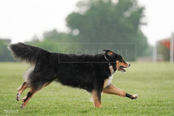 RielVisuals_20240526_094609_SJR00975
