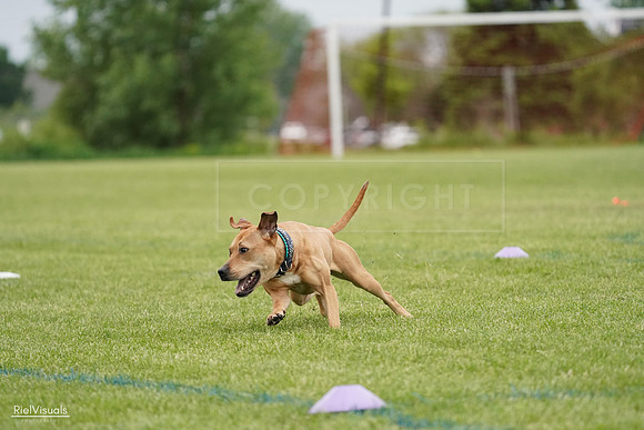 RielVisuals_20240526_131522_SJR07265