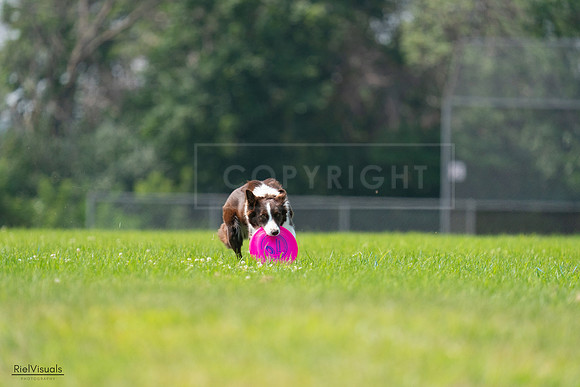 RielVisuals_20240727_115619_SJR04336