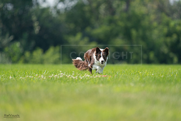 RielVisuals_20240727_115603_SJR04308