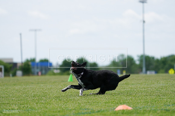 RielVisuals_20240525_124946_SJR01306