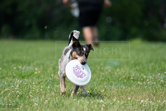 RielVisuals_20240727_133941_SJR07971