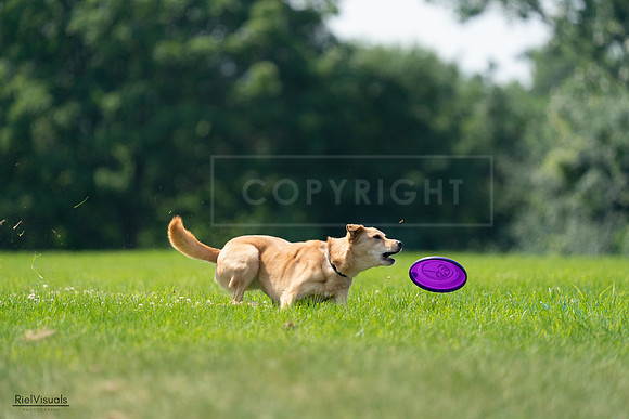 RielVisuals_20240727_115958_SJR04438