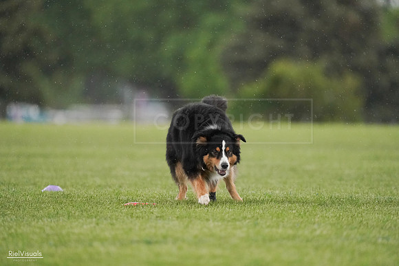 RielVisuals_20240526_094542_SJR00932